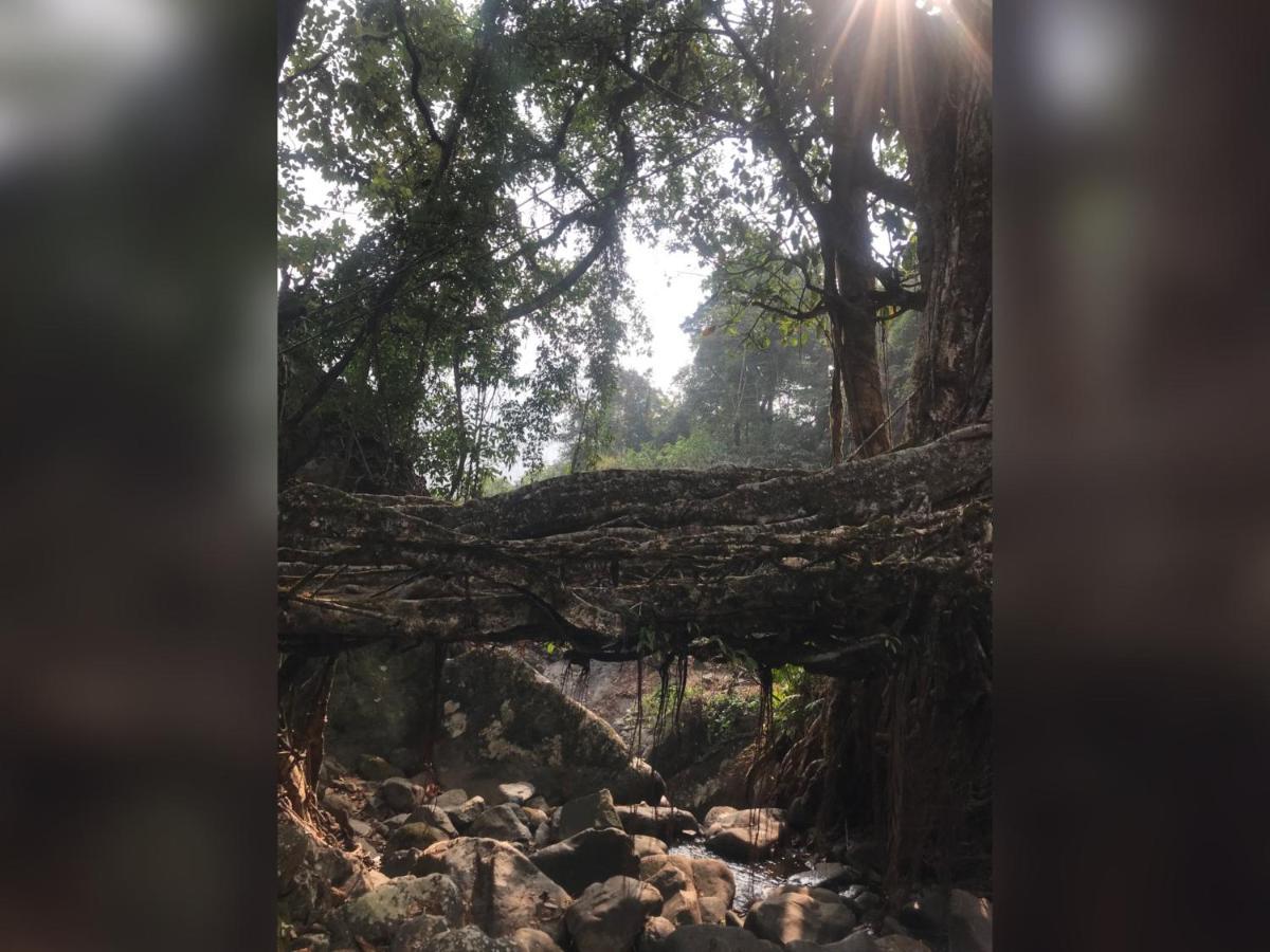 Living Roots Lodge Çerapunçi Dış mekan fotoğraf