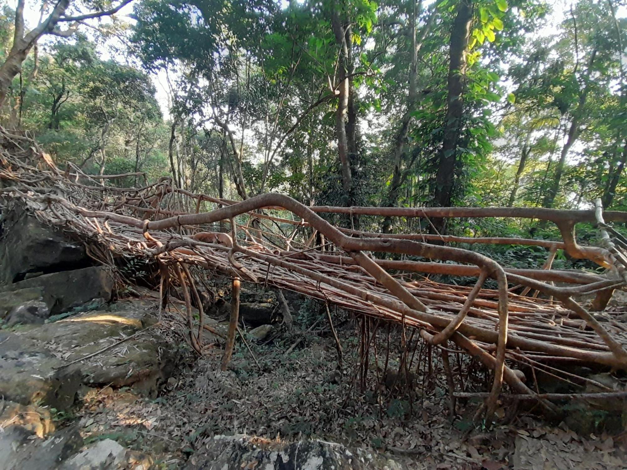 Living Roots Lodge Çerapunçi Dış mekan fotoğraf